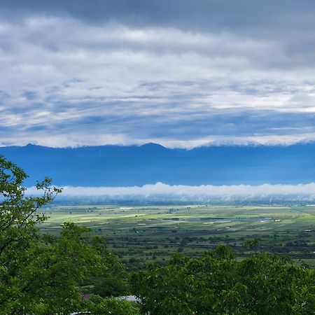 Pensjonat Kardanakhi Estate Anaga Zewnętrze zdjęcie